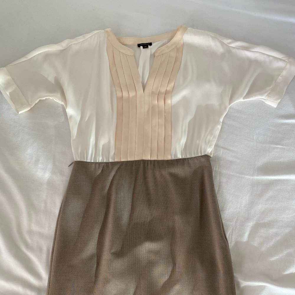 Ann Taylor Dress